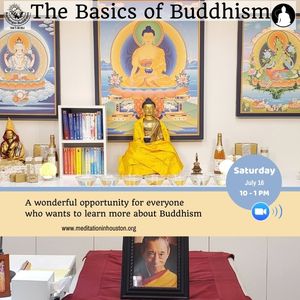 The Basics of Buddhism