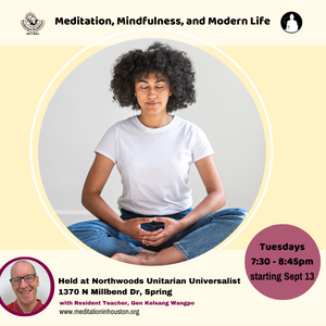 Meditation, Mindfulness, and Modern Life