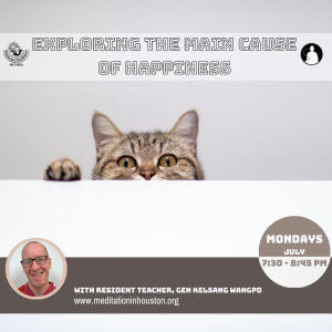 Exploring the Main Cause of Happiness