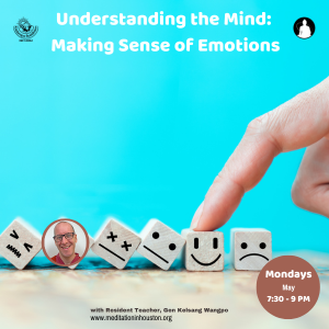 Understanding the Mind: Making Sense of Emotions