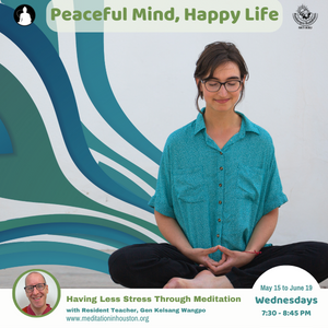 Peaceful Mind, Happy Life: Having Less Stress Through Meditation in The Woodlands