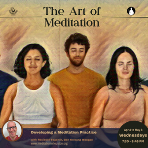 The Art of Meditation  in The Woodlands