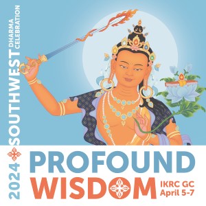 Featured image for “Southwest Dharma Celebration 2024: Profound Wisdom”