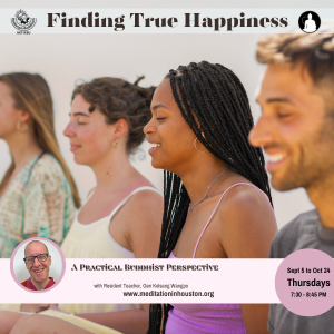 Finding True Happiness: A Practical Buddhist Perspective