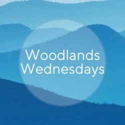 Square image with a blue background featuring evergreen designs and the text 'Woodlands Wednesdays,' promoting weekly mindfulness and meditation sessions.