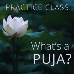 A serene white lotus flower with lush green leaves in the background, accompanied by the text "Practice Class: What's a Puja?"